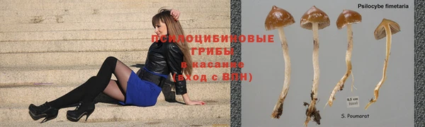 мяу мяу мука Армянск