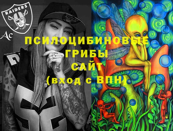 ПСИЛОЦИБИНОВЫЕ ГРИБЫ Кулебаки