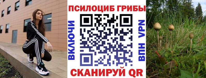 Галлюциногенные грибы мухоморы  Тырныауз 