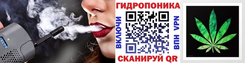 Конопля OG Kush  Тырныауз 
